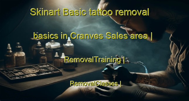 Skinart Basic tattoo removal basics in Cranves Sales area | RemovalTraining | RemovalClasses | SkinartTraining-France